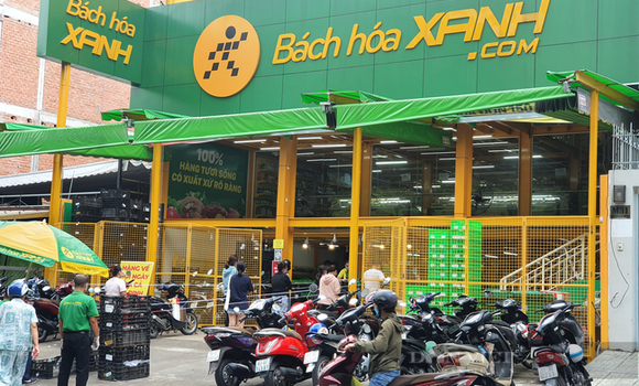 Bách Hóa Xanh lỗ gần 1.000 tỷ trong năm 2023 và dự báo tiếp tục lỗ 300 tỷ năm 2024