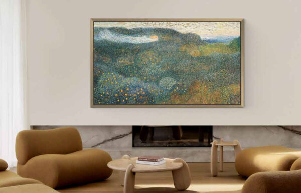 TV OLED