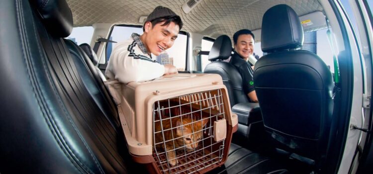 Giờ đây người dùng có thể đặt GrabCar để di chuyển cùng thú cưng
