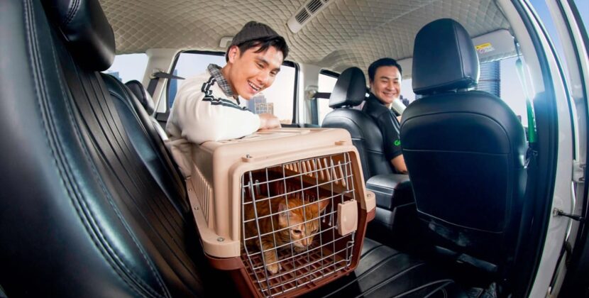 Giờ đây người dùng có thể đặt GrabCar để di chuyển cùng thú cưng