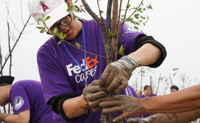 FedEx trồng cây tại TP.HCM, góp sức phục hồi rừng ngập mặn ở Vĩnh Long