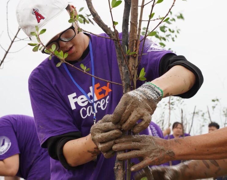 FedEx trồng cây tại TP.HCM, góp sức phục hồi rừng ngập mặn ở Vĩnh Long