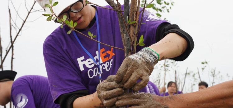 FedEx trồng cây tại TP.HCM, góp sức phục hồi rừng ngập mặn ở Vĩnh Long